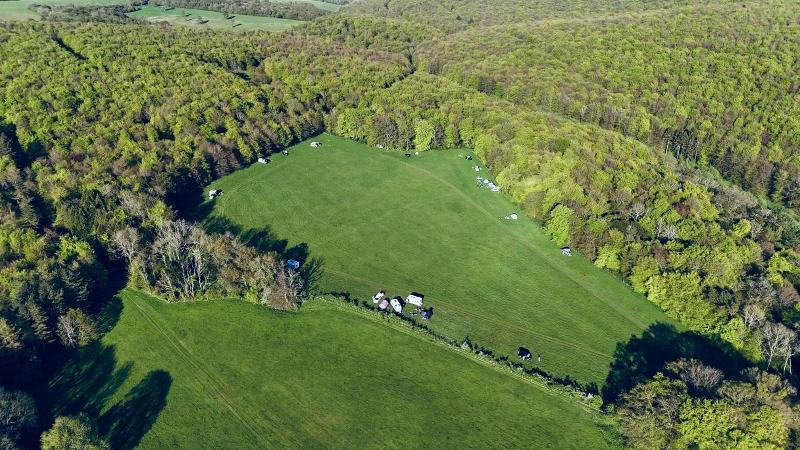 Aerial view of the camping field, a broad green clearing ringed by woodland